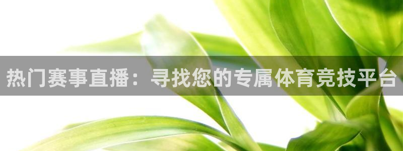 热门赛事直播：寻找您的专属体育竞技平台