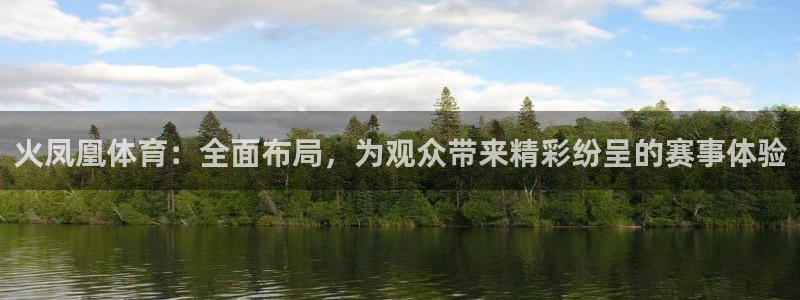火凤凰体育：全面布局，为观众带来精彩纷呈的赛事体验