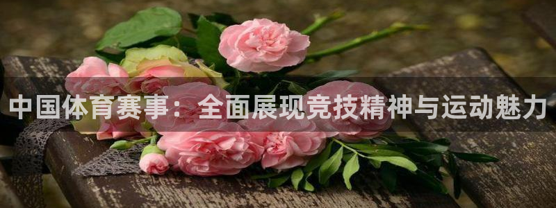 中国体育赛事：全面展现竞技精神与运动魅力